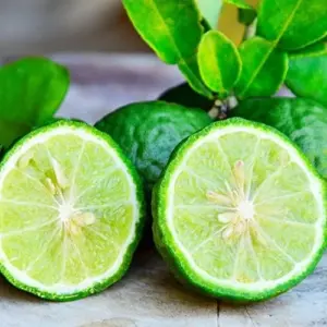 Bergamot Orange Seeds Citrus Bergamia Perennial Edible Ornamental Bonsai Tree 10Pcs Fruit Seeds Outdoor Patio