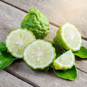 Bergamot Orange Seeds Citrus Bergamia Perennial Edible Ornamental Bonsai Tree 10Pcs Fruit Seeds Outdoor Patio