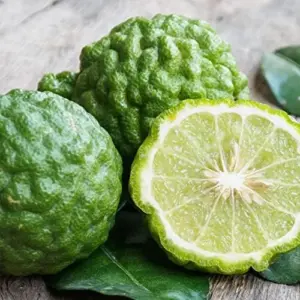 Bergamot Orange Seeds Citrus Bergamia Perennial Edible Ornamental Bonsai Tree 10Pcs Fruit Seeds Outdoor Patio