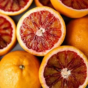 Blood Orange Tree Seeds - Fast Growing, Vitamin C Rich, Juicy Fruit - GMO Free - Indoor/Outdoor Patio & Container Planting - 20 Pcs