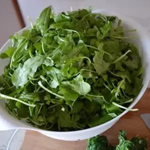 Celery Cabbage Seeds 1000 Pcs - Green Vegetable Seeds, Low Calorie, High Vitamin C, Outdoor Garden