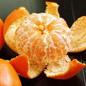 Cold Hardy Mandarin Orange Seeds Citrus Unshiu Satsuma Sweet Evergreen GMO Free Home Garden Outdoor 25 Pcs