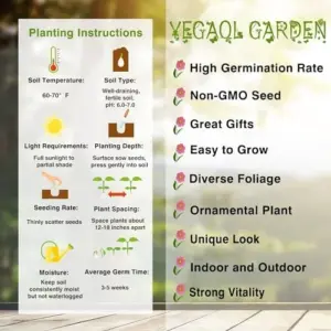 Double Orange Yellow Columbine Seeds - 50 Pcs Perennial Low Maintenance Cut Flower Showy Deer Resistant Pollinator Attracting Outdoor