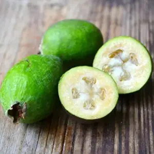 Feijoa Seeds Sweet Tangy Fruit Fragrant Flowers Hardy Ornamental Plant Drought Tolerant Garden Outdoor 40Pcs Fruit Seeds White