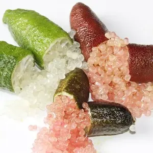 Finger Lime Seeds 20Pcs Non-GMO Evergreen Perennial Fruit Plant Green Red Pink
