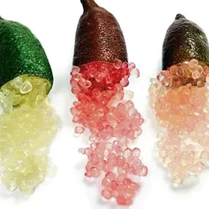 Finger Lime Seeds 20Pcs Non-GMO Evergreen Perennial Fruit Plant Green Red Pink