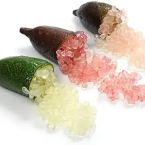 Finger Lime Seeds 20Pcs Non-GMO Evergreen Perennial Fruit Plant Green Red Pink