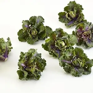 Flower Sprouts Seeds Vegetable 10 Pcs Green GMO Free Garden Outdoor Nutty Sweet Taste