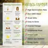 Forsythia Seeds: Deciduous Shrub, 55 Pcs, Golden Yellow, Easy Grow for Gardens & Landscapes