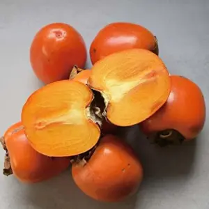 Fuyu Persimmon Seeds Diospyros Kaki Edible Sweet Fruit Tree Seeds 10 Pcs for Outdoor Planting