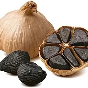 Garlic Vegetable Seeds for Planting - Easy Grow 100 Count for Home Gardens & Balconies, Air Purifying