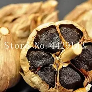 Garlic Vegetable Seeds for Planting - Easy Grow 100 Count for Home Gardens & Balconies, Air Purifying
