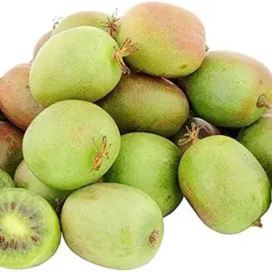 Hardy Kiwi Seeds Actinidia Arguta Perennial GMO Free Fragrant Fruit & Berries Climber for Trellises Fences Pergolas Outdoor 10 Pcs