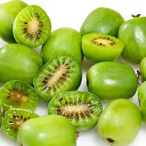 Hardy Kiwi Seeds Actinidia Arguta Perennial GMO Free Fragrant Fruit & Berries Climber for Trellises Fences Pergolas Outdoor 10 Pcs