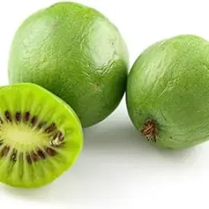 Hardy Kiwi Seeds Actinidia Arguta Perennial GMO Free Fragrant Fruit & Berries Climber for Trellises Fences Pergolas Outdoor 10 Pcs