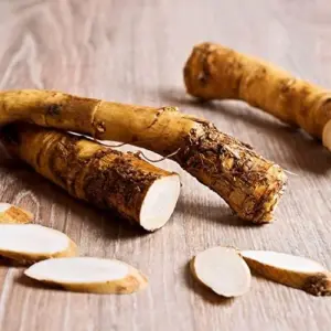 Horseradish Seeds 200 Count Perennial Vegetable GMO Free Outdoor Garden Containers