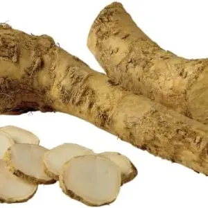 Horseradish Seeds 200 Count Perennial Vegetable GMO Free Outdoor Garden Containers