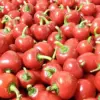 Hot Chili Pepper Seeds Fast-Growing GMO Free Outdoor Vegetable Garden 100 Count Green Red