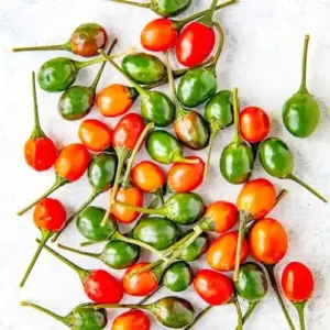 Hot Chili Pepper Seeds Fast-Growing GMO Free Outdoor Vegetable Garden 100 Count Green Red