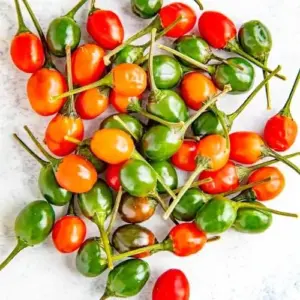 Hot Chili Pepper Seeds Fast-Growing GMO Free Outdoor Vegetable Garden 100 Count Green Red