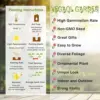 Hoya Carnosa Seeds Wax Plant - 100 Pcs Flower Seeds for Attractive Waxy Foliage & Fragrant Star-Shaped Flowers - Low-Maintenance Houseplant for Hanging Baskets