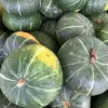 Kabocha Japanese Green Pumpkin Seeds 20 Ct Heirloom Open Pollinated Squash Seeds Green