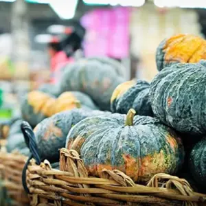 Kabocha Japanese Green Pumpkin Seeds 20 Ct Heirloom Open Pollinated Squash Seeds Green