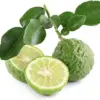 Kaffir Lime Seeds - Makrut Fruit Seeds for Outdoor Gardens - Fragrant Rind, Vitamin C Rich - 3 Pcs Organic