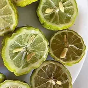 Kaffir Lime Tree Seeds 100 Pcs Fresh Warranty, Flower and Fruiting Citrus Hystrix
