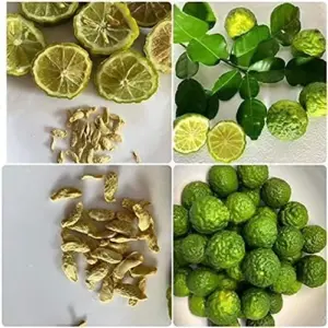 Kaffir Lime Tree Seeds 100 Pcs Fresh Warranty, Flower and Fruiting Citrus Hystrix