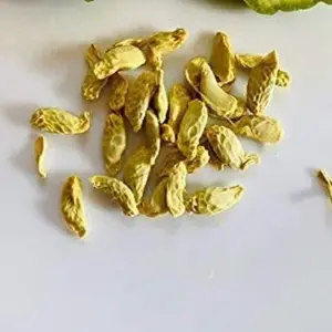 Kaffir Lime Tree Seeds 100 Pcs Fresh Warranty, Flower and Fruiting Citrus Hystrix