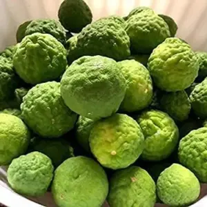 Kaffir Lime Tree Seeds 100 Pcs Fresh Warranty, Flower and Fruiting Citrus Hystrix