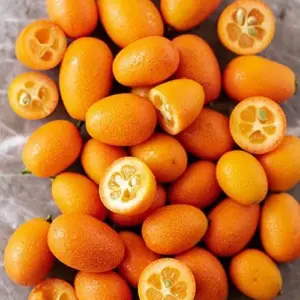 Kumquat Fruit Seeds Citrus Japonica Sweet-Tart Rind Fragrant Flowers Outdoor Garden 5-Count White