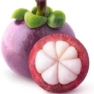 Mangosteen Seeds 90 Count Sweet Evergreen Tropical Fruit Seeds for Garden Backyard Outdoor GMO Free Brown