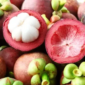 Mangosteen Seeds 90 Count Sweet Evergreen Tropical Fruit Seeds for Garden Backyard Outdoor GMO Free Brown