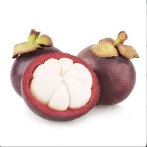 Mangosteen Seeds 90 Count Sweet Evergreen Tropical Fruit Seeds for Garden Backyard Outdoor GMO Free Brown