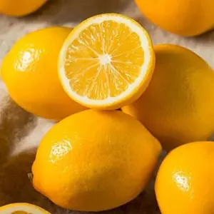 Meyer Lemon Seeds - Edible Skin, Sweet Pulp, Fragrant Flowers, Outdoor, 10 Pcs Fruit Seeds