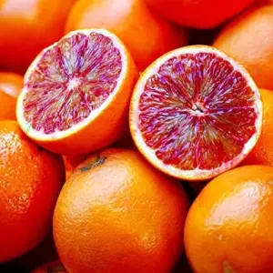 Moro Orange Tree Seeds Blood Orange Citrus Sinensis Vitamin Juicy Containers Patio Outdoor Fruit Tree Seeds 10 Pcs