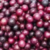 Muscadine Grape Seeds Climbing Vine Per20Pcs Fruit Seeds Perennial Sweet Flavor Fast Growing Tasty Juice Rich in Vitamins for Arbors Pergolas Trellises Outdoor