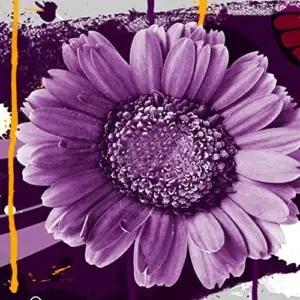 Purple Sunflower Seeds, Ornamental Flower Seeds, 25 Count, Purple, Non-GMO