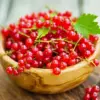 Red Currant Seeds Ribes Rubrum - Edible Berry Shrub Seeds, 50 Pcs, Red