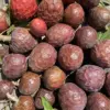 Red Custard Apple Tree Seeds Annona Reticulata Tropical Fruit Tree Delicious Sweet Fruit Outdoor Garden 10 Seeds Red