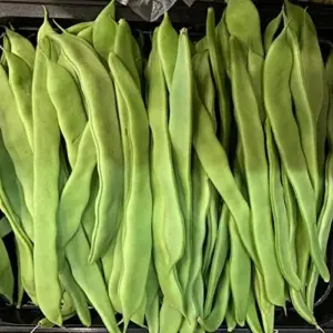 Romano Pole Bean Seeds - Italian Flat Bean - Tender Texture, Rich Flavor - Green Vegetable Seeds - 100 Count - Outdoor Garden Planting