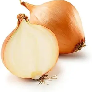 Sweet Onion Seeds 200 Pcs Yellow Non-GMO Annual Hardy for Salads & Cooking
