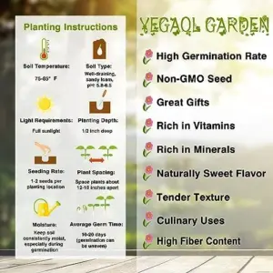Sweet Potato Seeds Non-GMO Vegetable Seeds for Home Garden 50 Count Orange