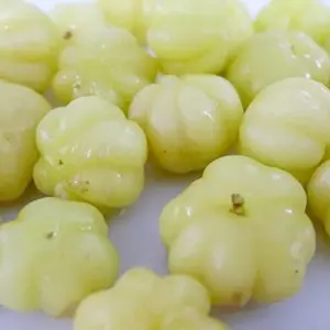 Tahitian Gooseberry Seeds Perennial Evergreen Fruit Tree Seeds Outdoor 5 Pcs Green Pink Red