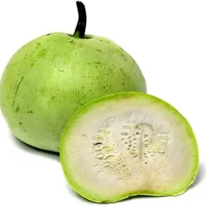 Tinda Gourd Seeds Apple Gourd Vegetable Seeds 100 Pcs White Tender Texture Mild Sweet Flavor Outdoor Garden Planting