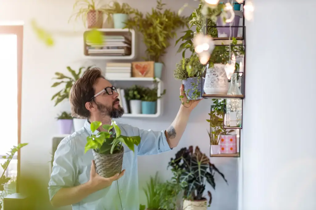 father's day plant gift ideas - garden plant nursery