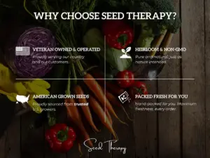 Coleus Black Dragon Seeds – Heirloom Ornamental Plant, Landscape or Houseplant, Dramatic Foliage | 20 Seeds - Image 8