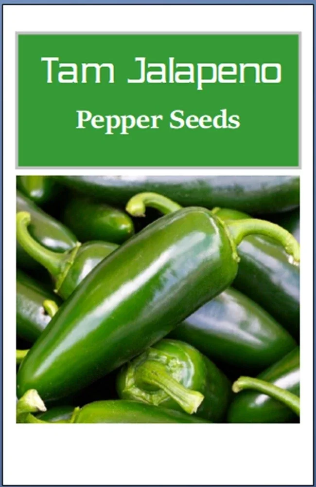 Tam Jalapeno Pepper Seeds – Non-GMO & Heirloom – 25 Seeds – Outdoor - Image 2